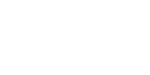 Aviatrix Provider